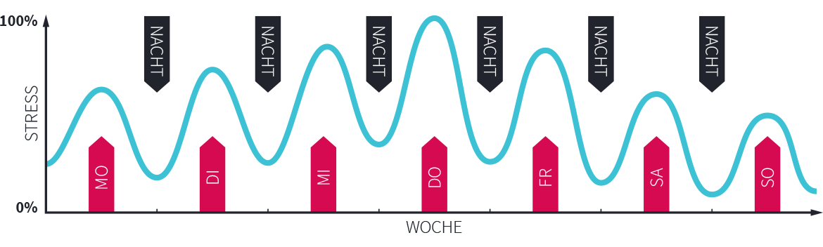 Stressverarbeitung während einer normalen Arbeitswoche