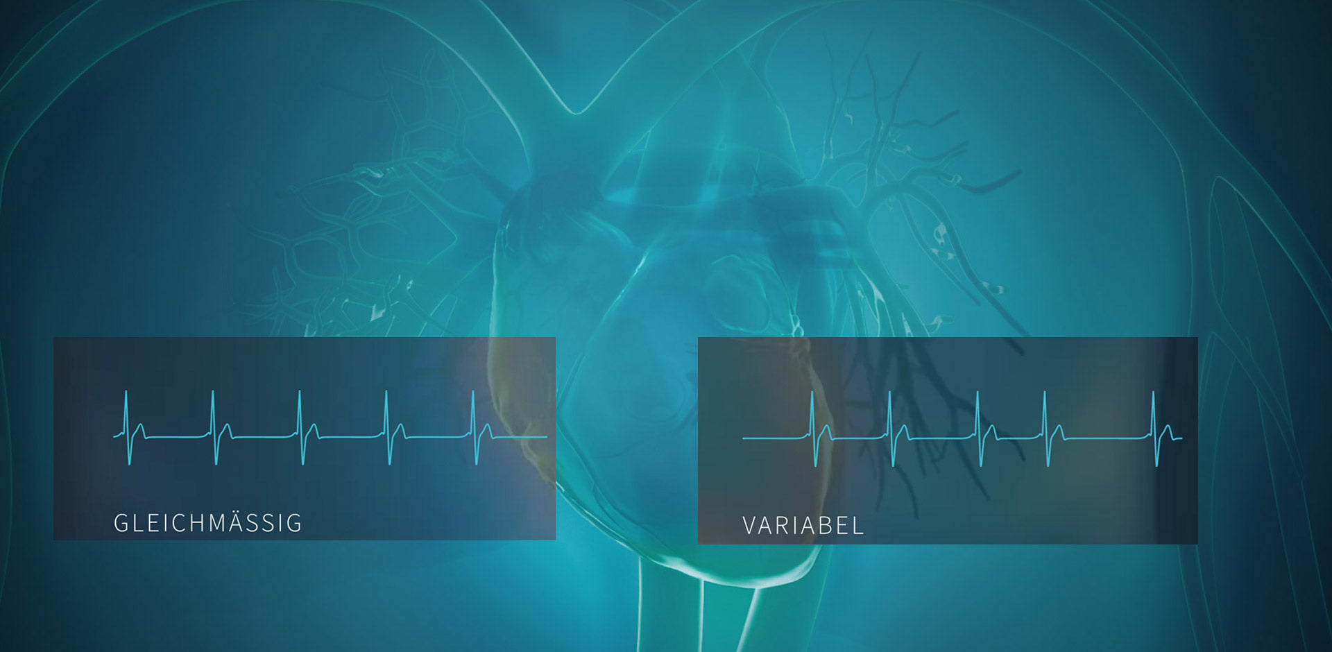 Eine Gegenüberstellung von variabler und nicht variabler Herzratenvariabilität