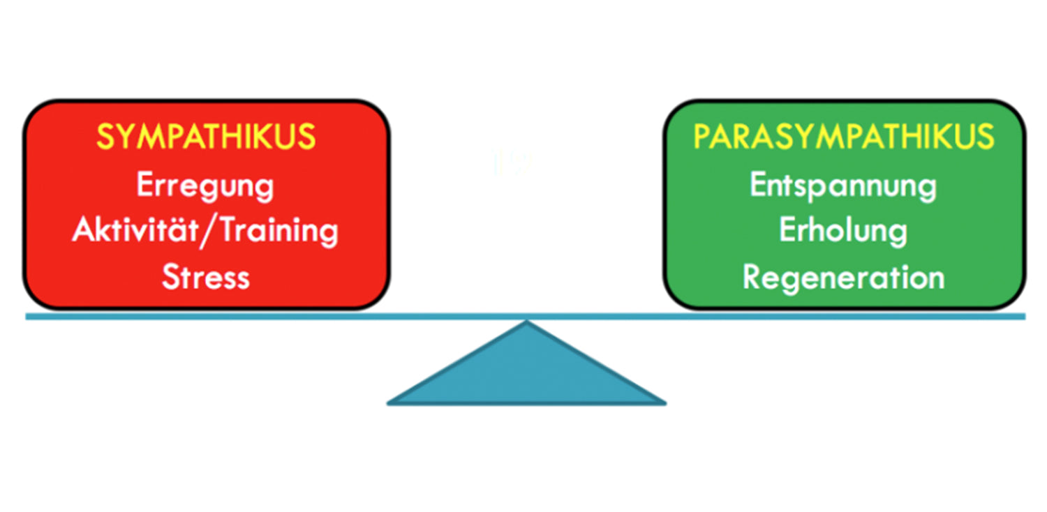 Vegetative Auswirkung auf die HRV