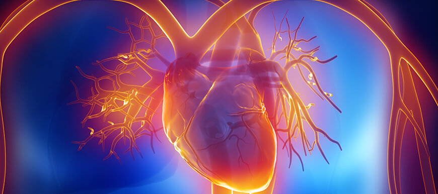 Herzratenvariabilität - Herzfrequenzvariabilität Titelbild