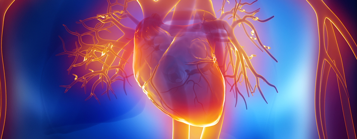 Herzratenvariabilität wird durch die HRV-Messung des Herzschlags berechnet